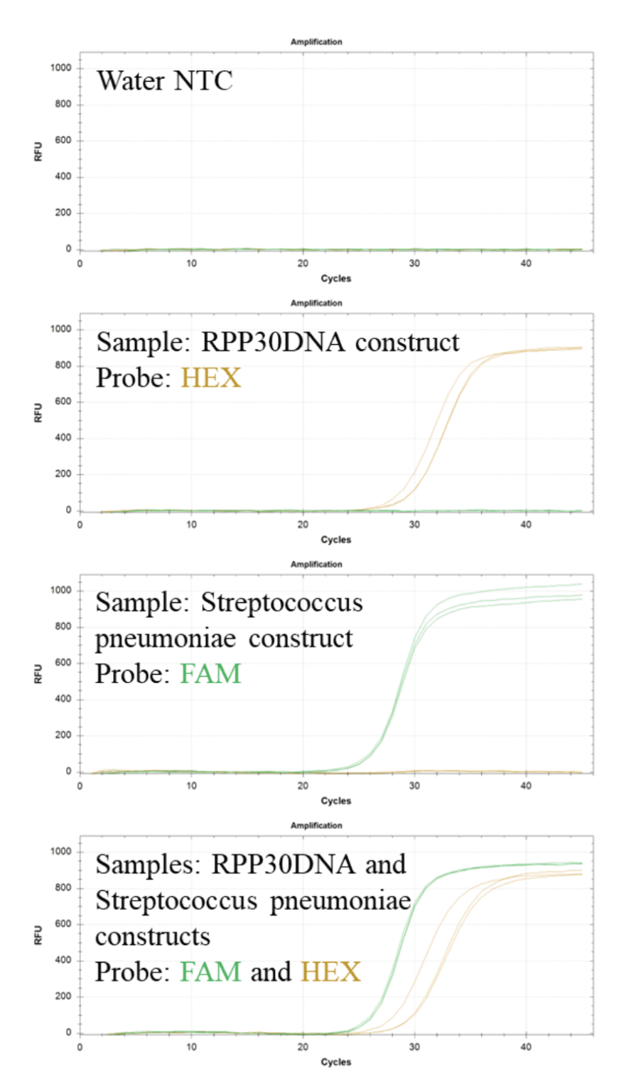 Rpp Pcr Collection S.pneumo-RPP30DNA - PCR Assays